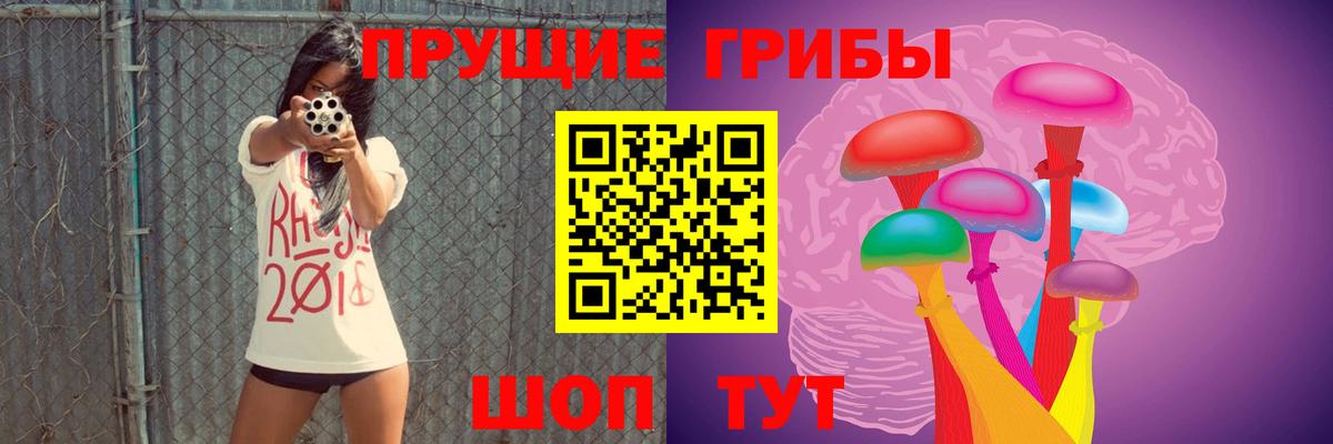 Псилоцибиновые грибы Psilocybe Изобильный